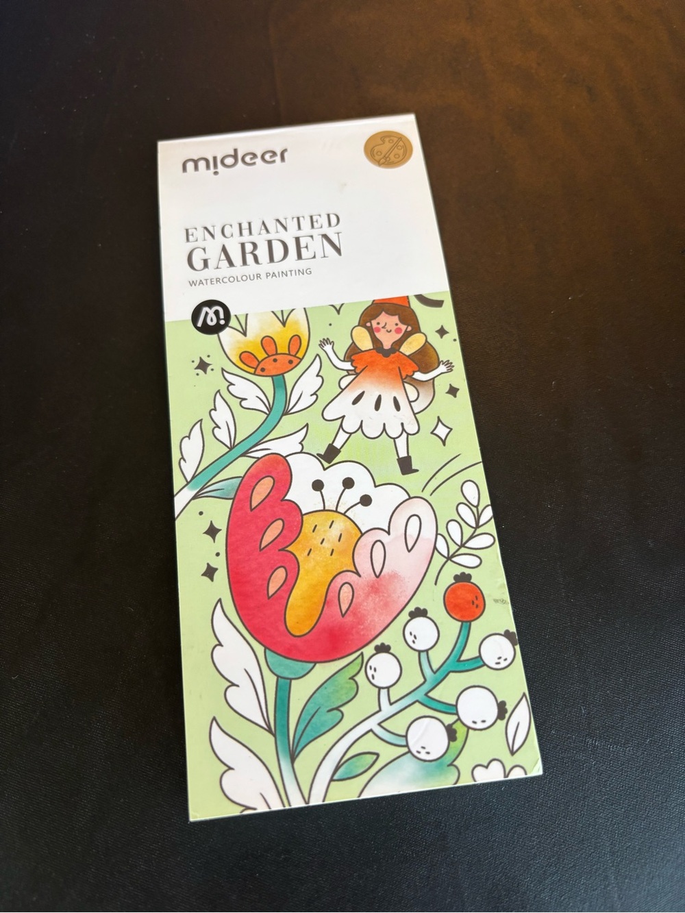 Mideer children’s water color paint set, GUC